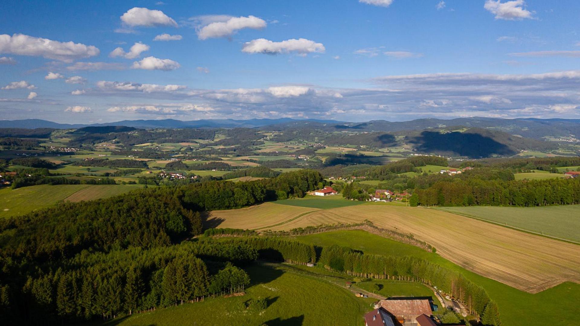Ferienwohnung „Rose“ Wiesenfelden Bagian luar foto