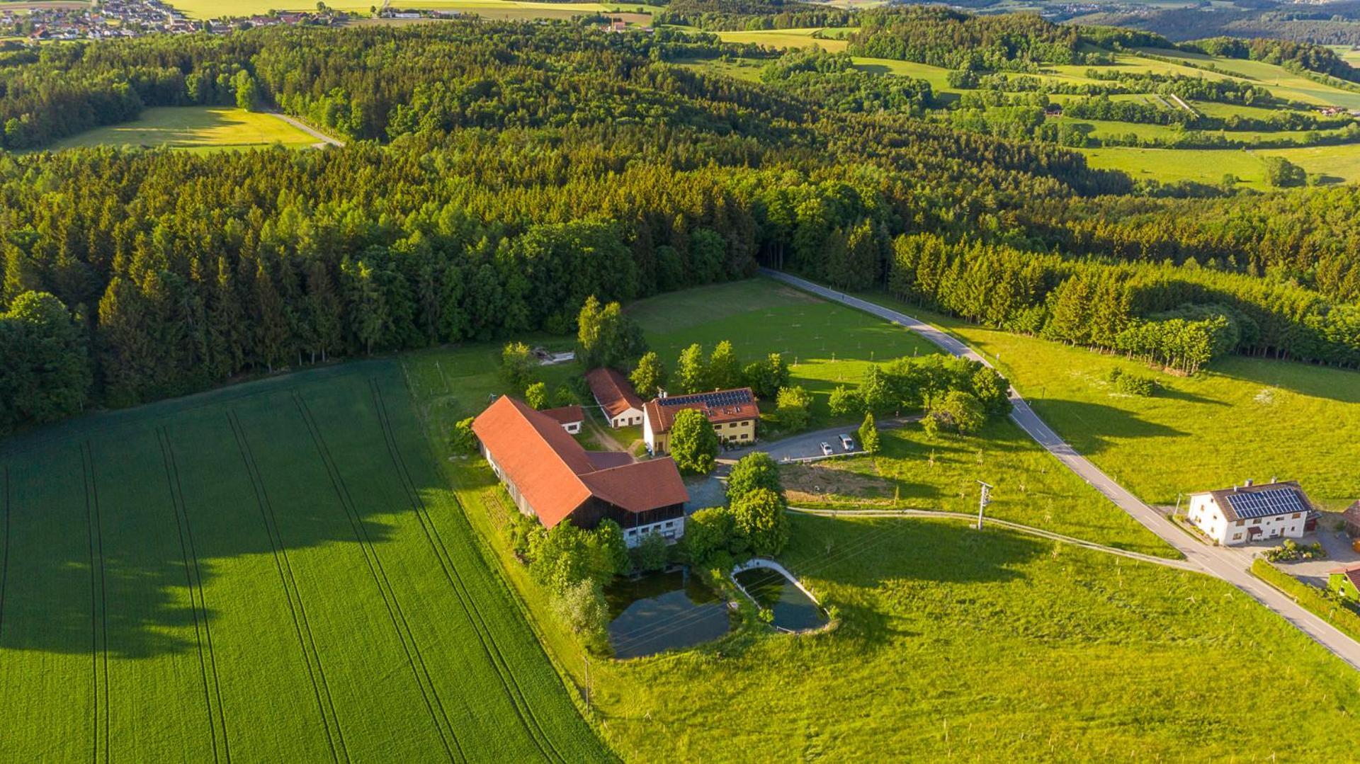 Ferienwohnung „Rose“ Wiesenfelden Bagian luar foto